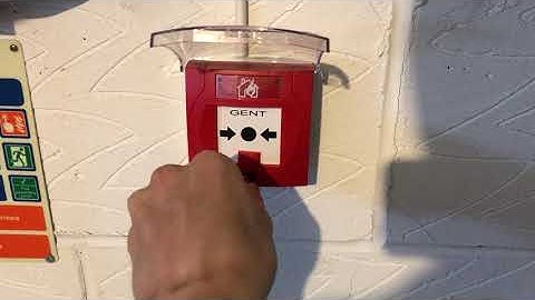 Gent Vigilon Weekly Test #10