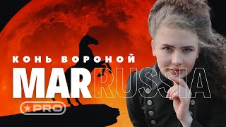 картинка: МаРРуся - Конь вороной