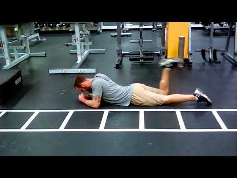 Prone Eccentric Hamstring Curl