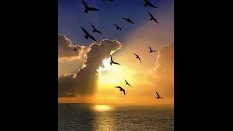 سورة العصر • سلمان العتيبي | Salman Al Otaibi • Surah Al Asr