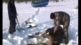 Хочется что бы наше поколение выросло на таких видео!