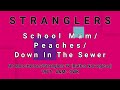 Miniature de la vidéo de la chanson Peaches (Airplay Version)