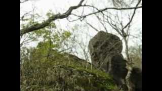 筑波山登山 野鳥のさえずり Bird Watching In Mt.Tsukuba. 筑波山登山 野鳥のさえずり Bird Watching In Mt.Tsukuba.