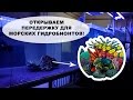 Открываем передержку для морских гидробионтов!