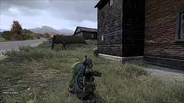 DayZ SA Robbery attempt. It didn