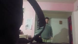 Mini Diego de Trend post every day but video of the