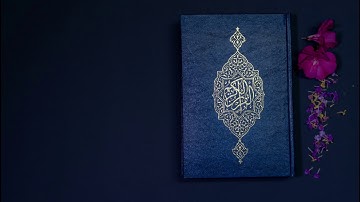 سورة هود [محمد صديق المنشاوي] Muhammad Siddiq Al-Minshawi] Hud