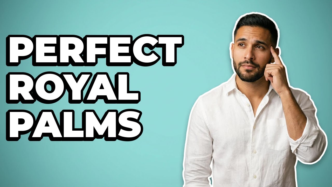 What Conditions Do Royal Palms Need to Thrive?