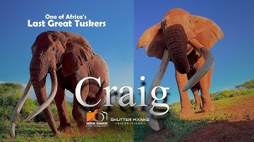 Africa’s Legendary Elephant | Craig- The Super Tusker