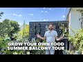 Balcony garden tour july  tips to grow vegetables fruits  herbs in containers for small space