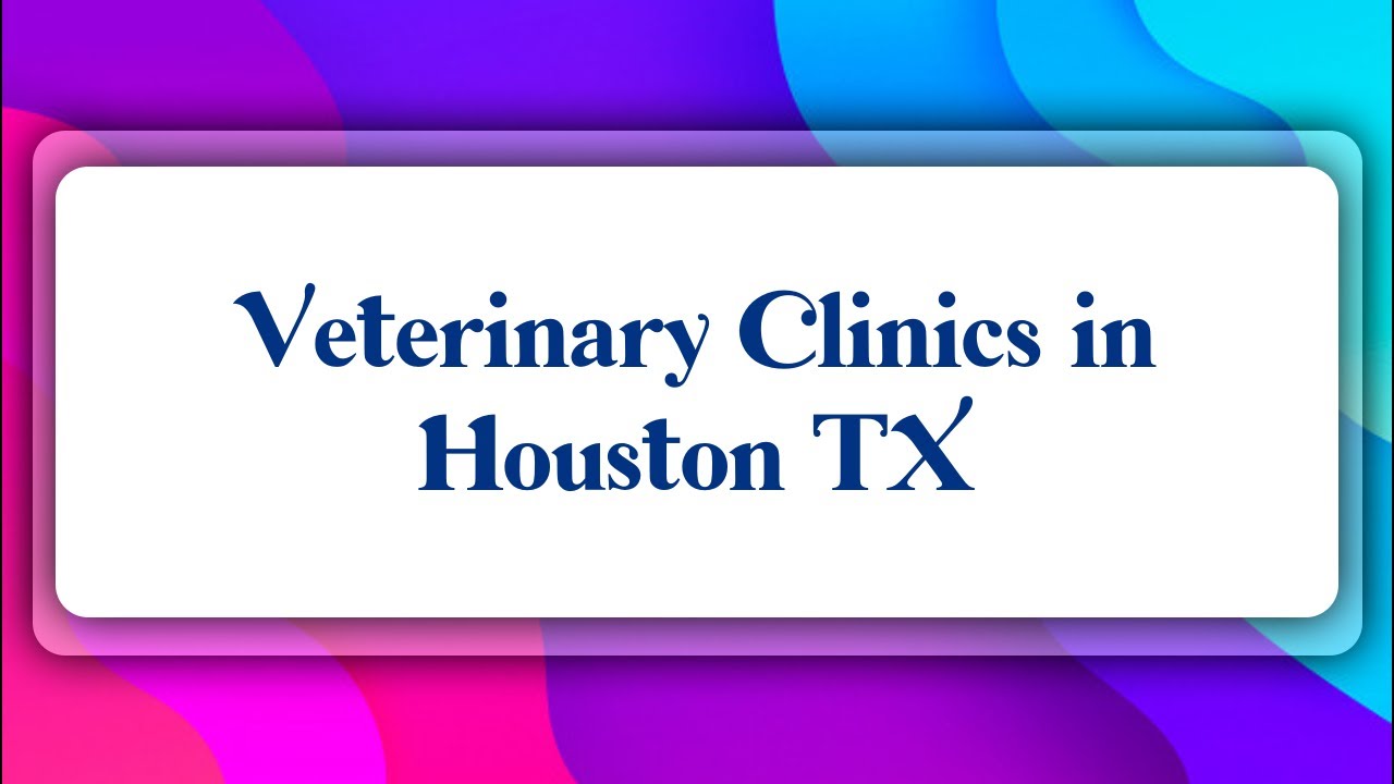 Top 10 Veterinary Clinics in Houston, TX YouTube