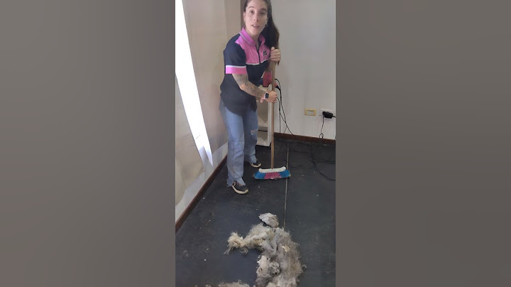 Enough Trimmed Hair For A Second Dog || ViralHog