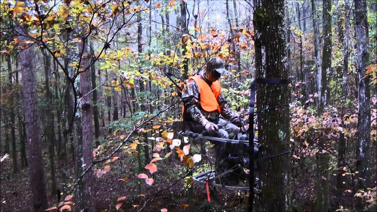 Successful Deer Hunt in (HD) Jones county, Nov. 2015 YouTube