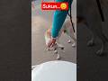 😌 Sukoon Mila Dog Ke Sath Khel Kar 🐶❤️ #petlove #dog #shorts