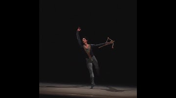 Thumbnail of Swan Lake Act 2, No 10: Scene. Moderato #ballet #dance #classicalmusic #concert #performance #music