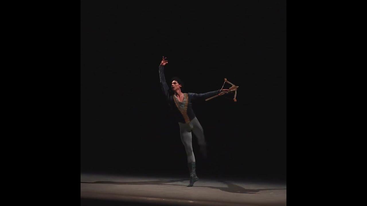 Swan Lake Act 2, No 10: Scene. Moderato #ballet #dance #classicalmusic #concert #performance #music Swan Lake Act 2, No 10: Scene. Moderato #ballet #dance #classicalmusic #concert #performance #music