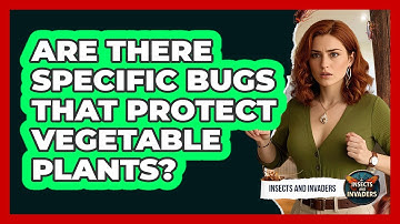 Are There Specific Bugs That Protect Vegetable Plants?