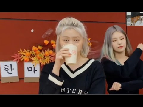 [ITZY 류진] 야무지게 식혜드시는 신부장님