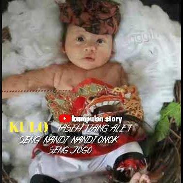 [1] Story wa || khodam macan putih