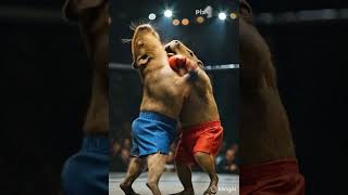 Kedi 🐱🐈 Resimi