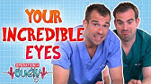 Where Does Your Blood Come From Full Episode Operation Ouch Youtube Where Does Your Blood Come From Full Episode Operation Ouch Youtube