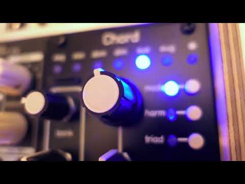 Qu-Bit Chord v2 rhythmic chord progression