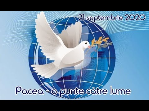 Video: Puntea Către Virtualitate