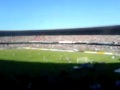 Galo torcida incrível