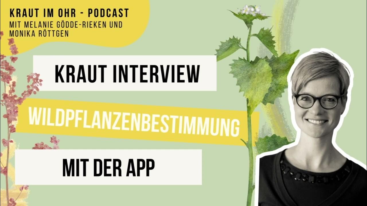 So bestimmst du Wildpflanzen mit der BestimmungsApp flora incognita