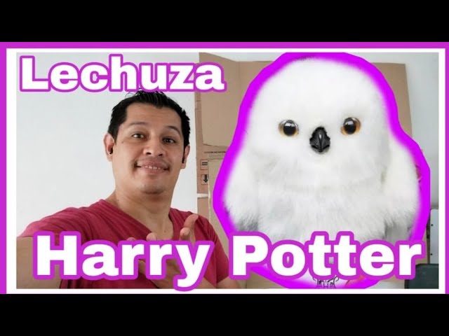 Piñata Hedwig Lechuza