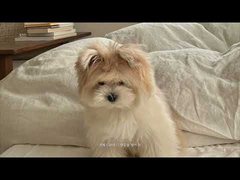 Playlist 1 5배속으로 들으면 무조건 잠깨는 노동요 하루종일 틀어놓기 좋은 국내 노래모음 플레이리스트 노동요 카페 매장음악 플리