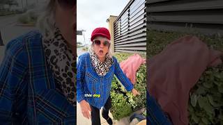 Part 2: Lady tries to steal homeless man’s dog. #rescue #drama #dog #truecrime #wow