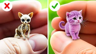 Download lagu Hilarious Cat Reactions to Viral TikTok Trends Unleashed By Meow-some! Live