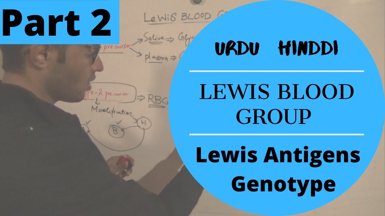 Lewis Blood Group Lewis Antigens and Lewis Genotype Part 2 YouTube