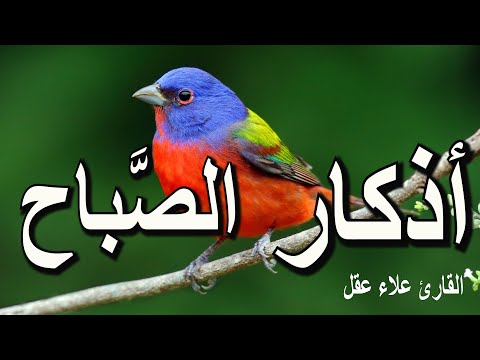 أذكار الصباح راحة نفسية لا توصف بصوت القارئ علاء عقل    