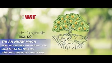 TRI ÂN NHÂN MẠCH | ÂM NHẠC CHUYỂN HOÁ TÂM THỨC