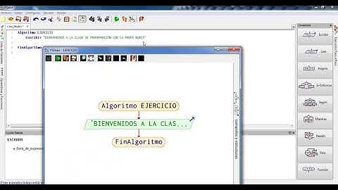INTRODUCCIÓN A PSEINT