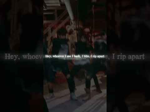 Stray Kids Grrr 총량의 법칙 BEWARE Lyrics Is Out Now