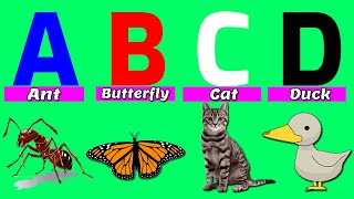 Learn Alphabets || A for Ant, Apple, B for Butterfly, Bat, C for Cat, Car, D Duck, Dog || Kho Kho TV