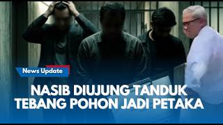 Download lagu APES !! Lurah, Camat dan Kadis Lingkungan Kota Bandung, Terkena Sanksi Buntut Tebang 10 Pohon Mahoni