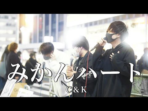 【涙腺崩壊】3人のハモリに鳥肌が立つほど感動した。『みかんハート/C&K(cover) 』Highest