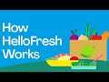 How hellofresh works  food delivery subscription with fresh meals  recipes delivered to your door