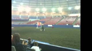 2010-08-31 - Trick Riding at PNE Agridome