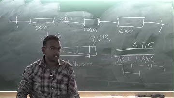 Sequence Alignment: Hidden Markov Models, Category Theory and all that jazz  by  Soumyashant Nayak
