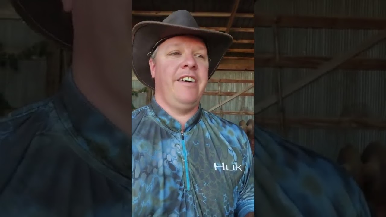 IMPP What Happens Next. ↗️↘️ 