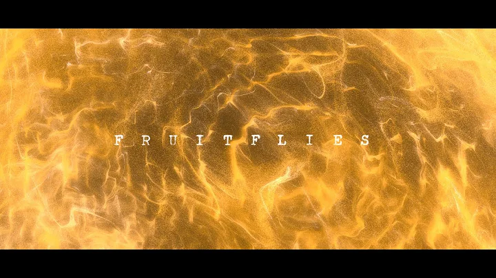 Gabriel Garzn-Montano - Fruitflies (Official Video...