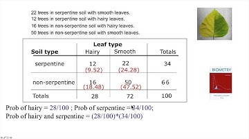 Chi-squared Tests (Goodness of Fit) in R Part 1: Theory