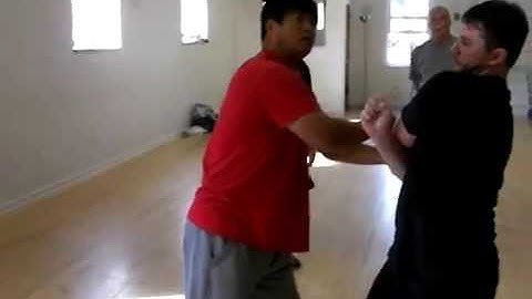 Fighting Arts - Yin Style Bagua - Moving Attacks