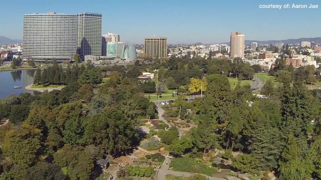 The Gardens At Lake Merritt Documentary By Todd Anthony Youtube