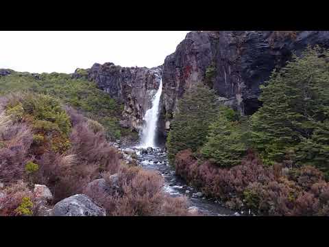 וִידֵאוֹ: הפארק הלאומי טונגרירו: המדריך השלם